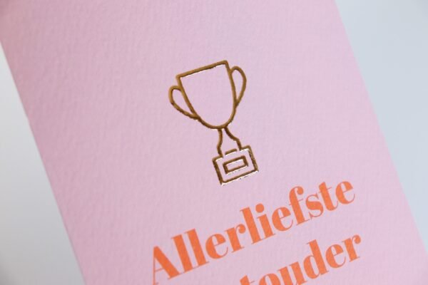 Allerliefste gastouder - Afbeelding 2
