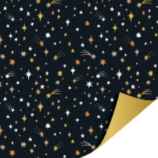 Cadeaupapier Kerstster zwart